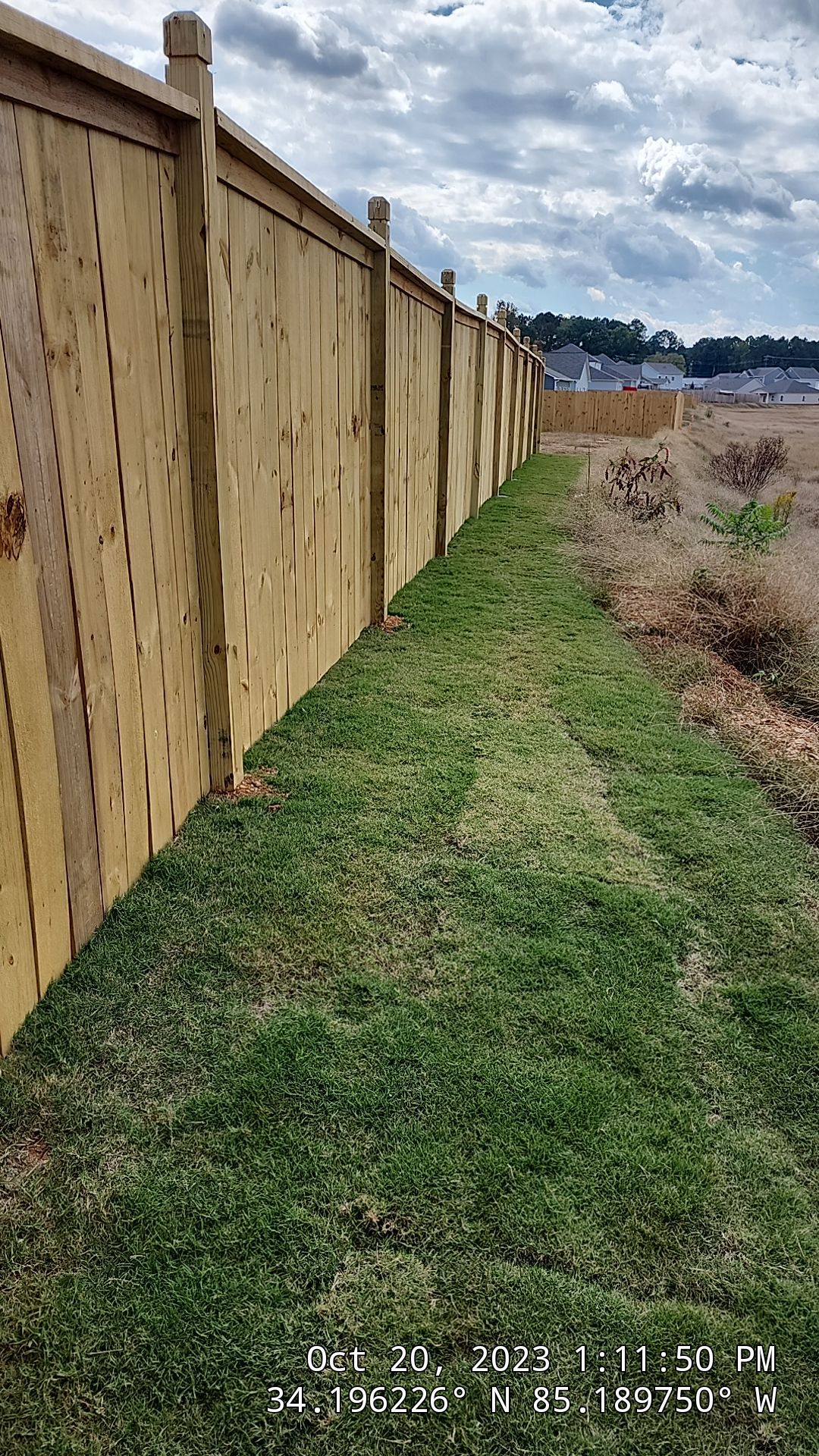 Fence Staining using Chestnut by SSE by Titans of Timber Fence & Stain