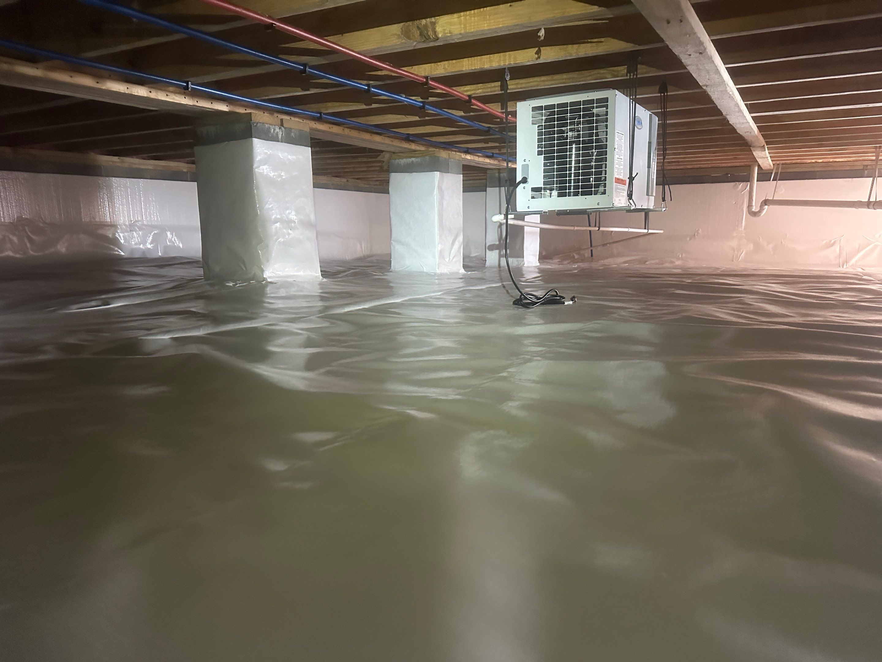 Premium Encapsulation with 20Mil, Borafoam insulation and Light System. by Impact Crawlspace