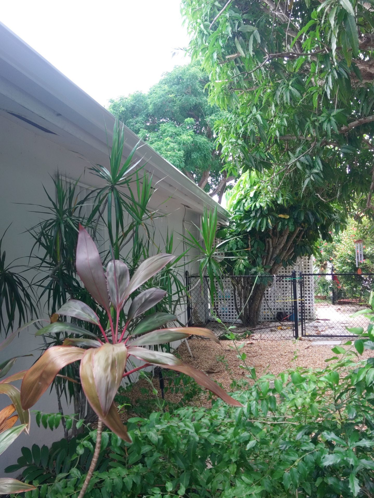 K-Style Seamless Gutter Installation using 3X4 Elbow Downspout in Marco Island, FL  by Gutter Professors