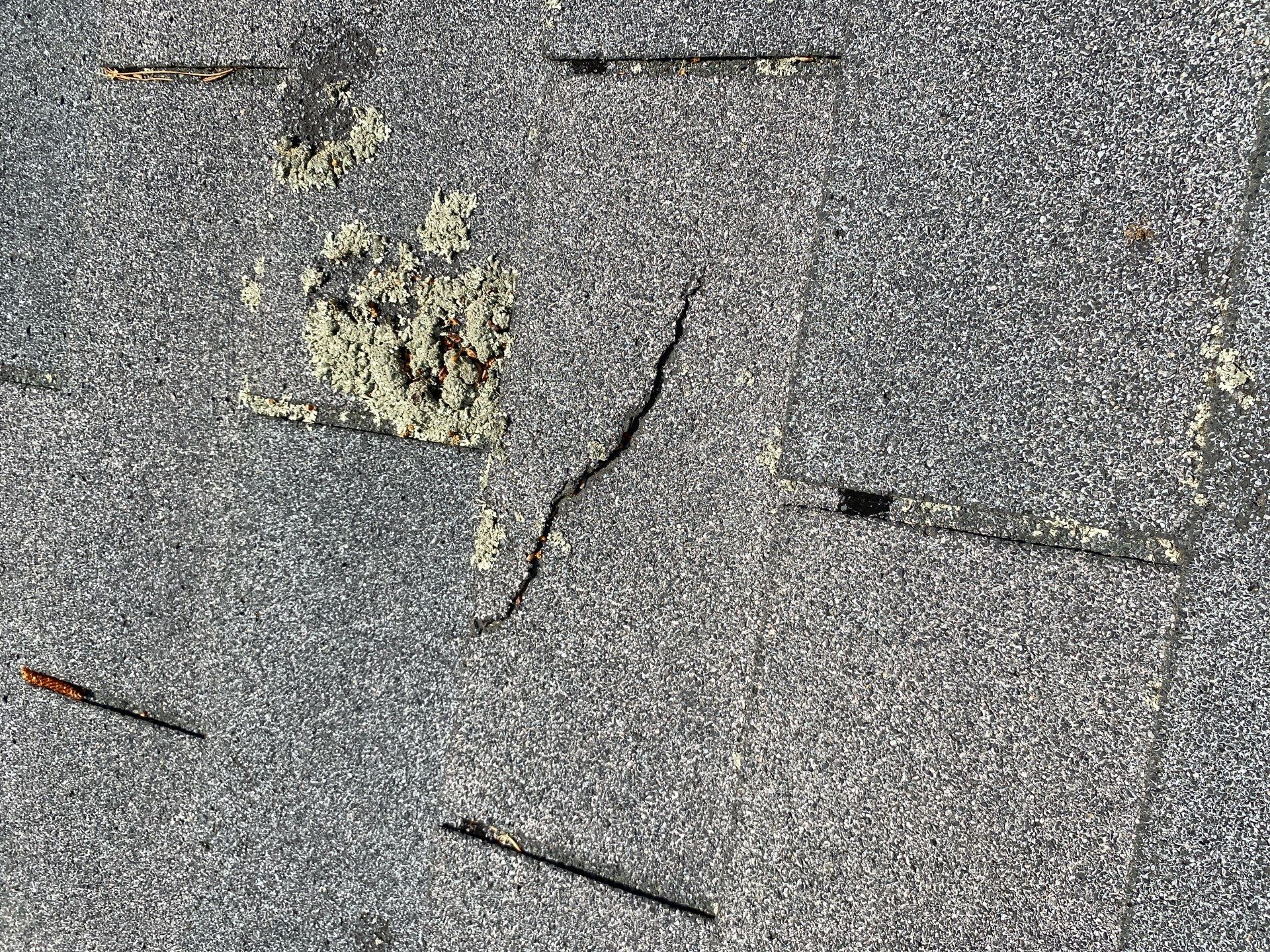 Roofing | Carlisle by Mighty Dog Roofing of Greater Middlesex County