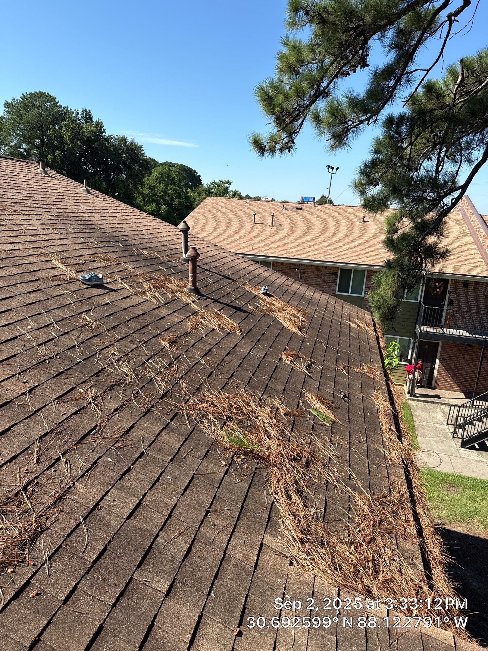 Commercial gutter cleaning Mobile before photo with filled gutters