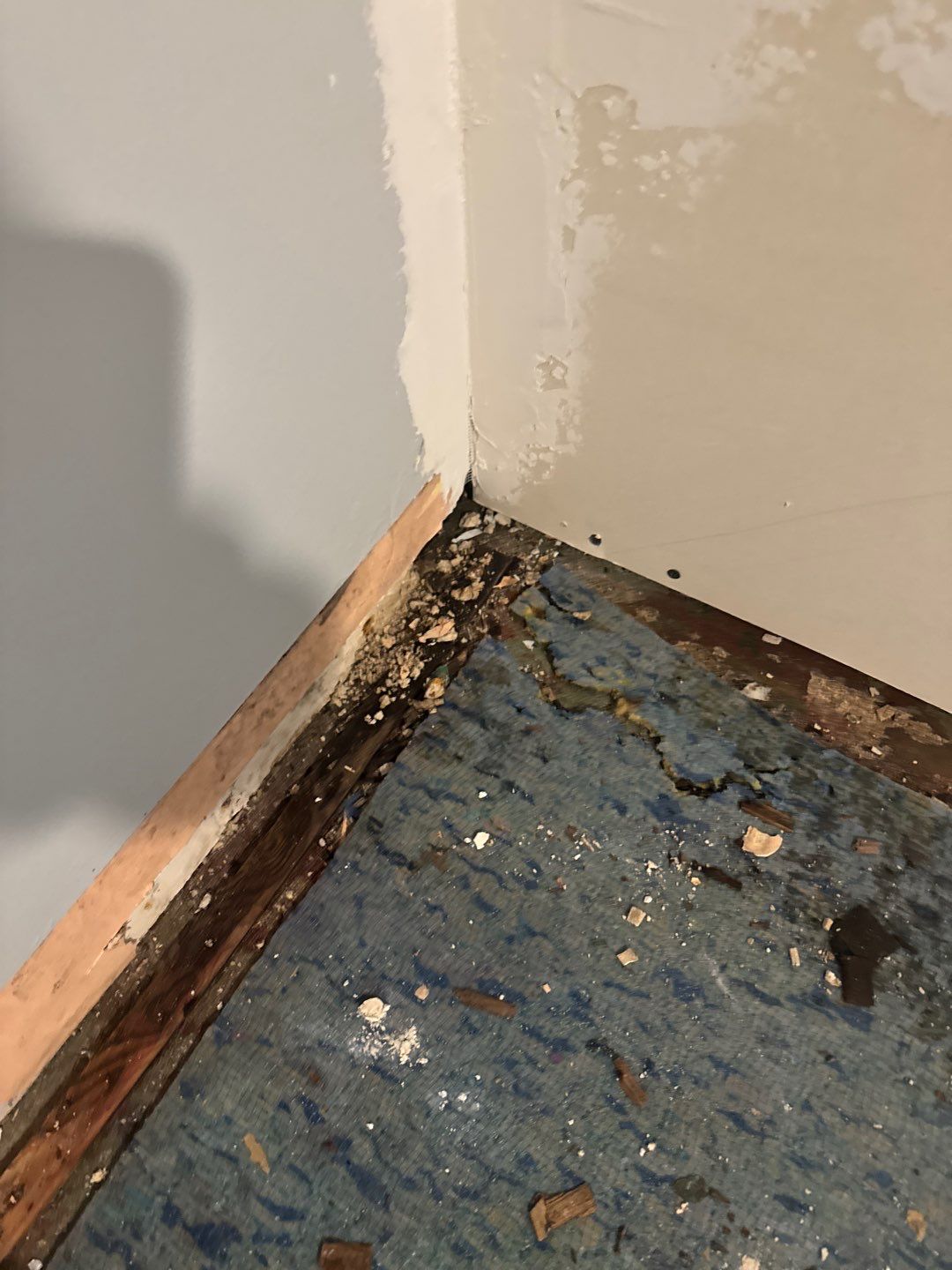 Extending the Drain Tile System for Igor by Waterproofing Northeast