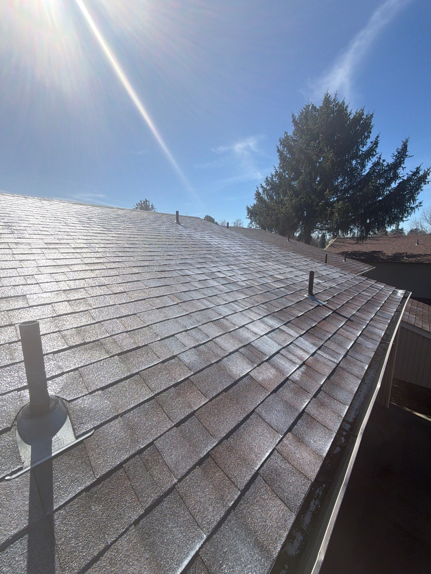 Project in Grants Pass by Roof Maxx of Grants Pass
