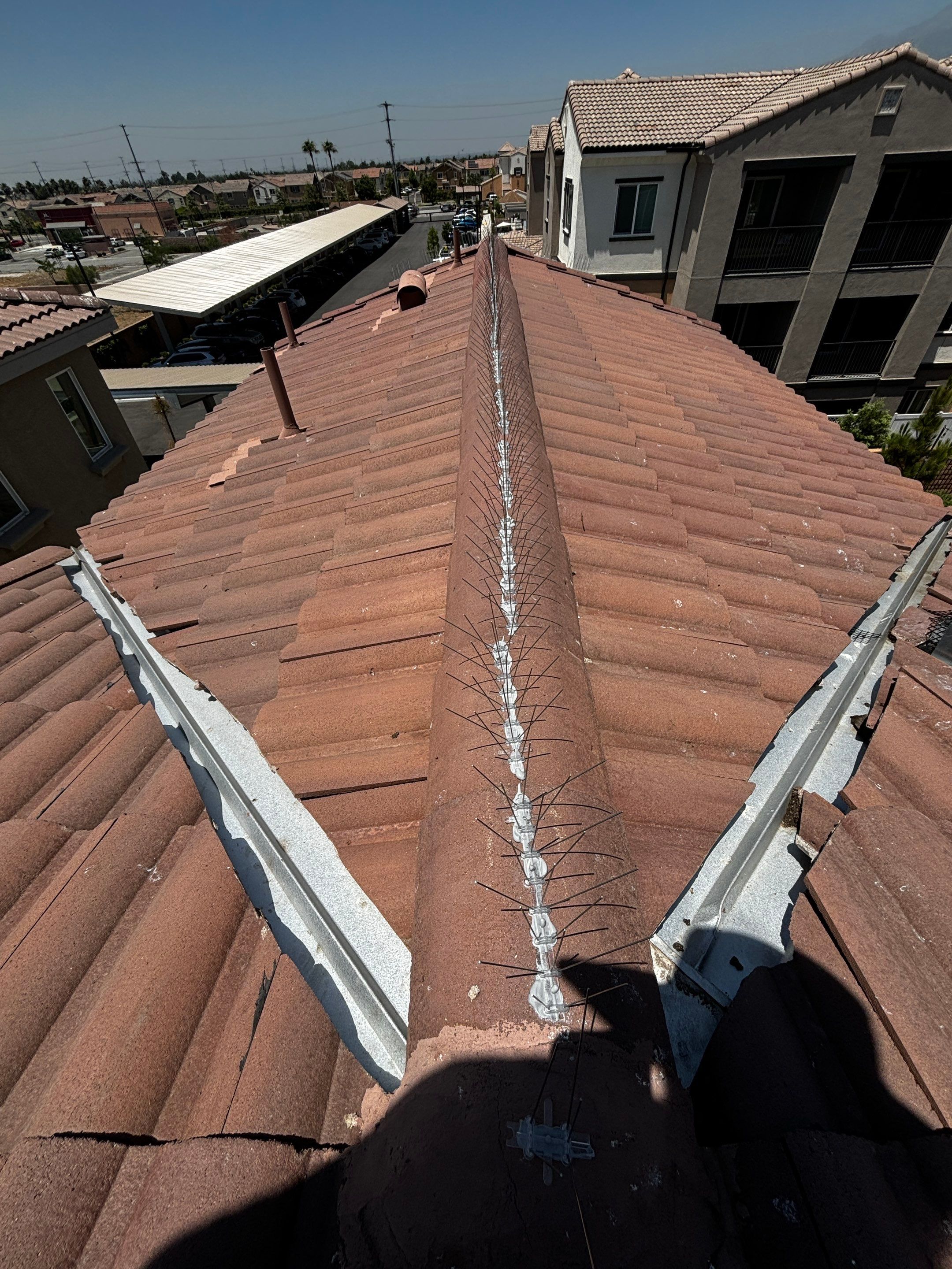 Solar Panel Bird Proofing in Fontana Ca by Palm Coast Solar Cleaning