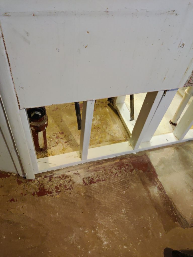 Mold Remediation in Basement by Accountable Home Services