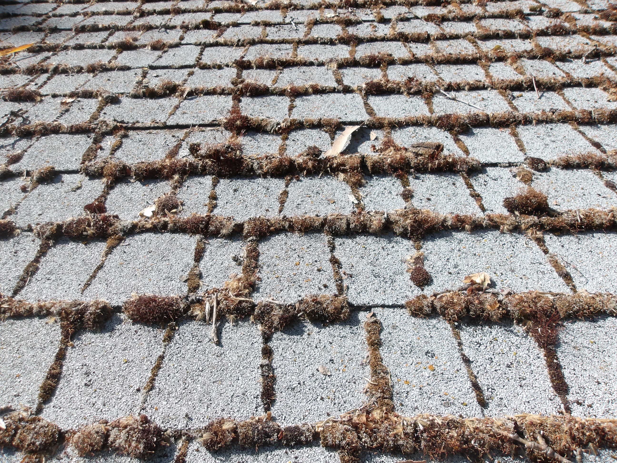 Roof Restore using Pressure Washer by Byers Enterprises 