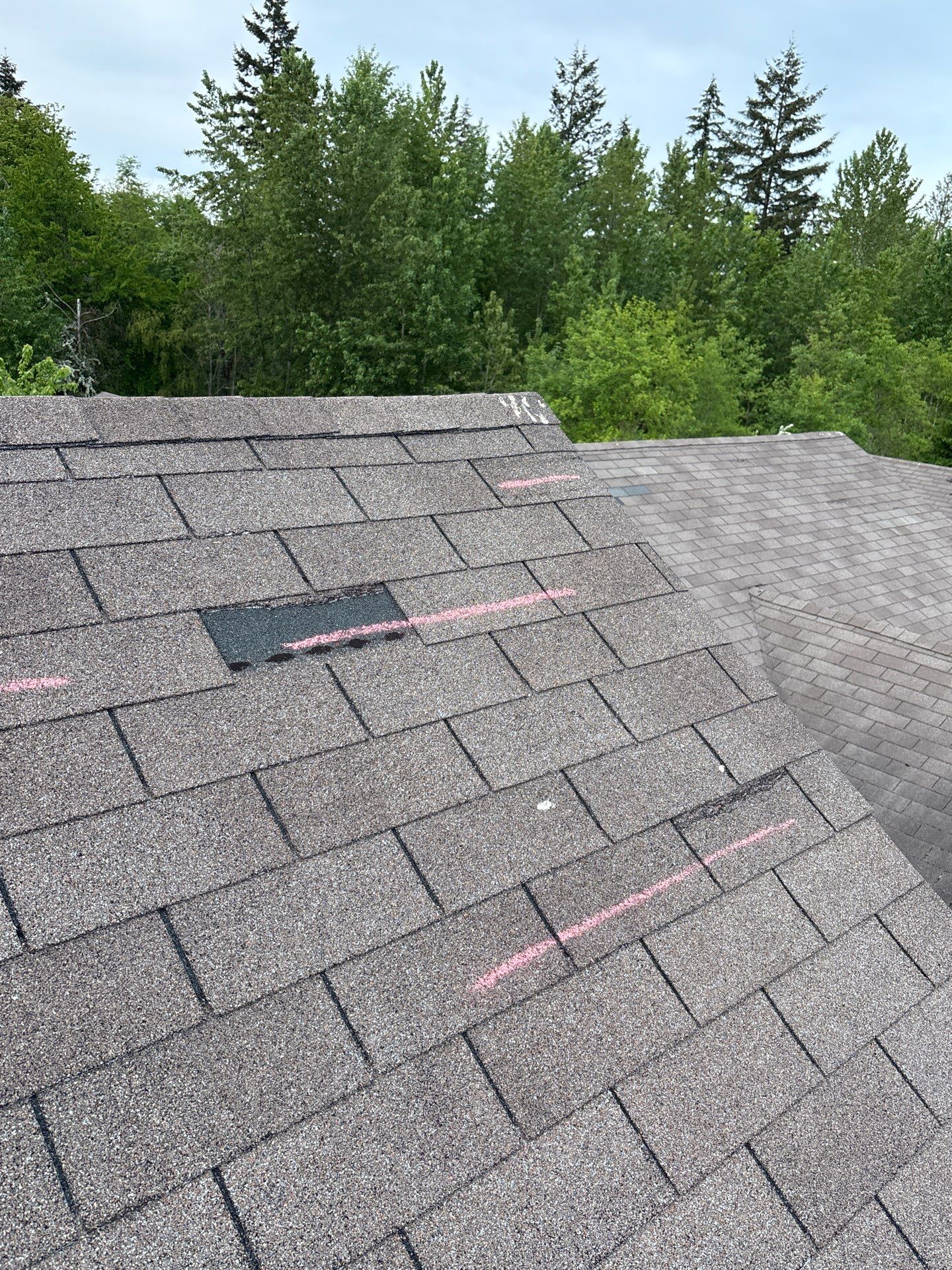 GAF Timberline HDZ, Barkwood  by Proline Roofing & Restoration LLC