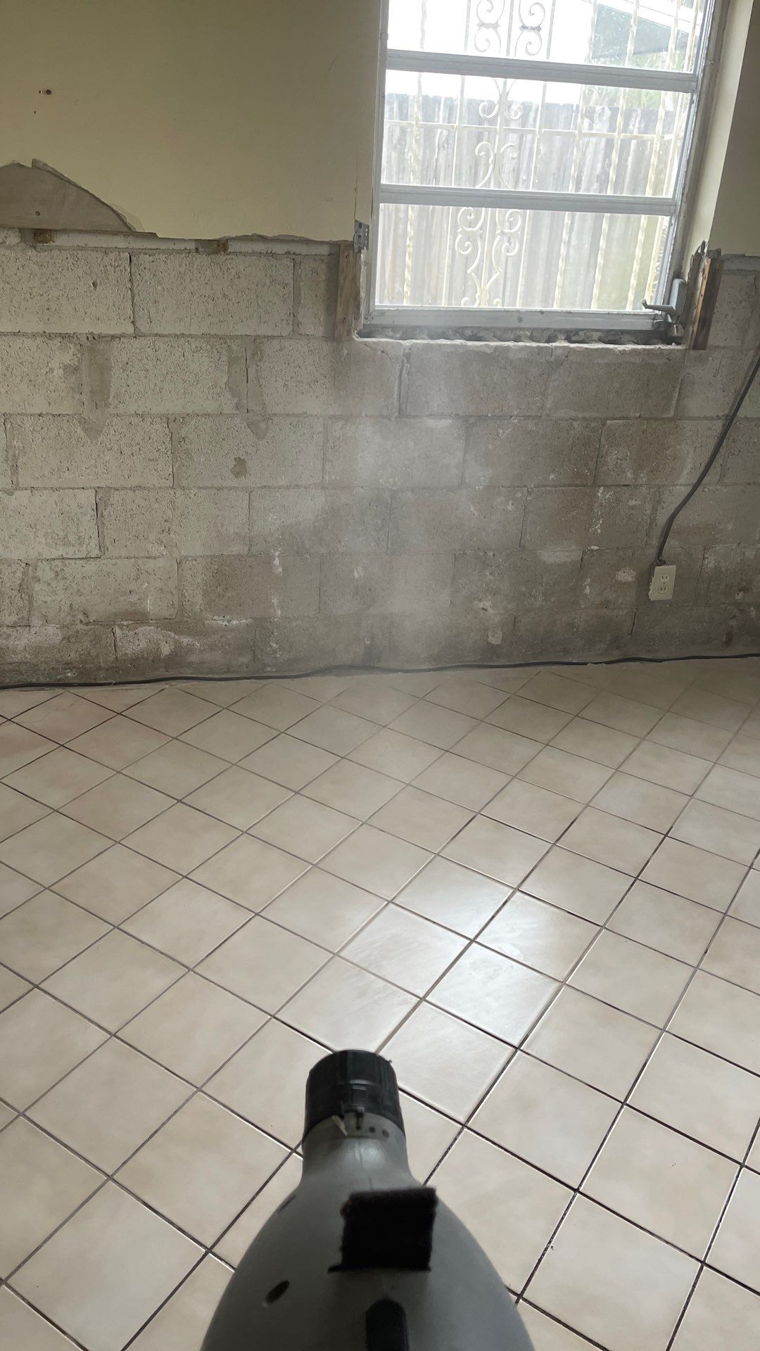 Mold Remediation  by THE RAPID TEAM