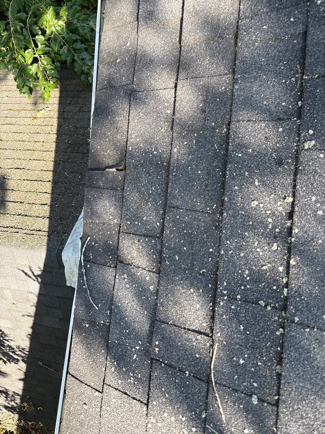 Jonathon Salmons Hail & Tree Damage Report by Constructive Project Management