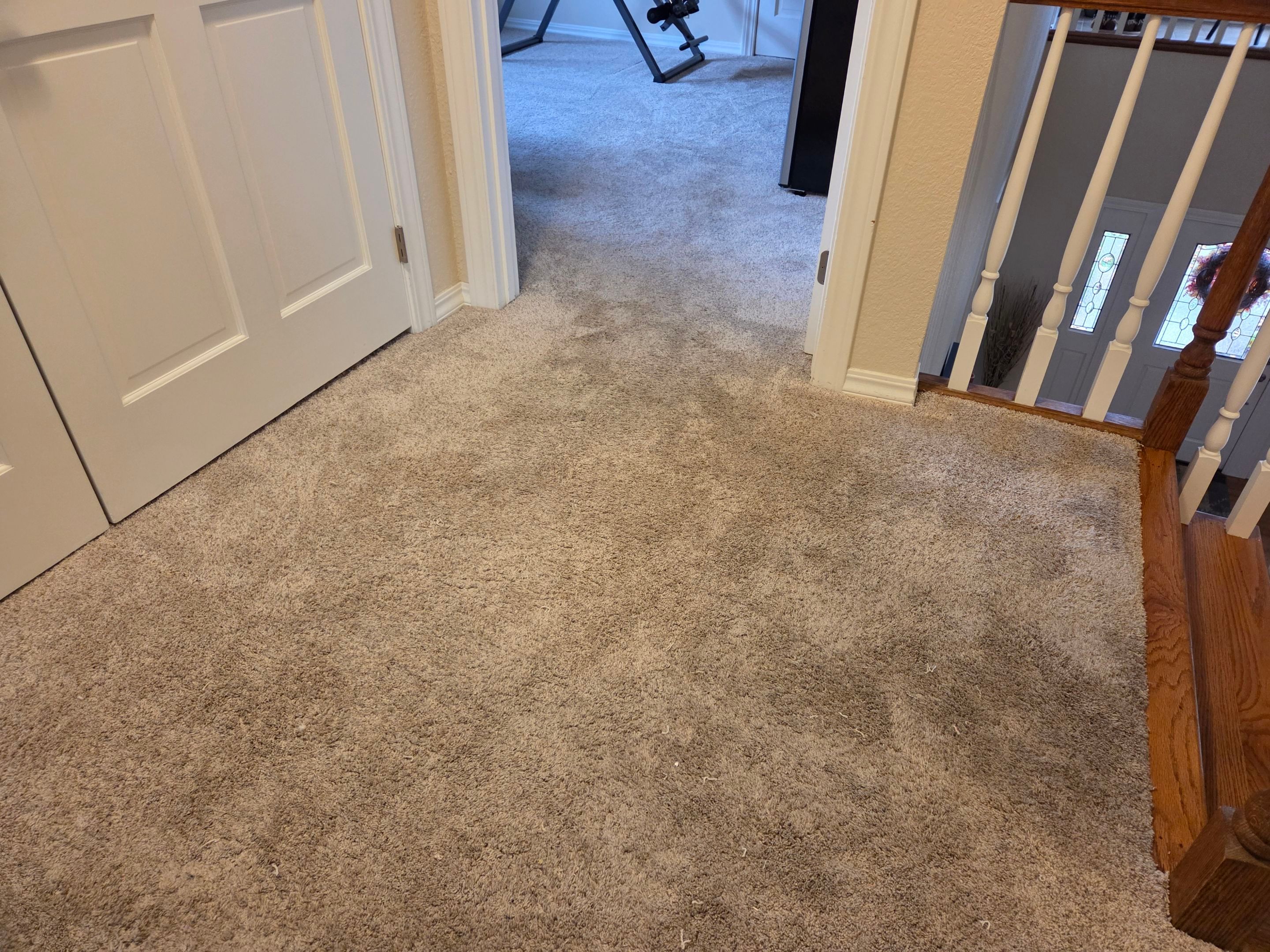 Carpet Re-stretch and Cleaning in Granite Bay by Ardent Carpet Restore LLC