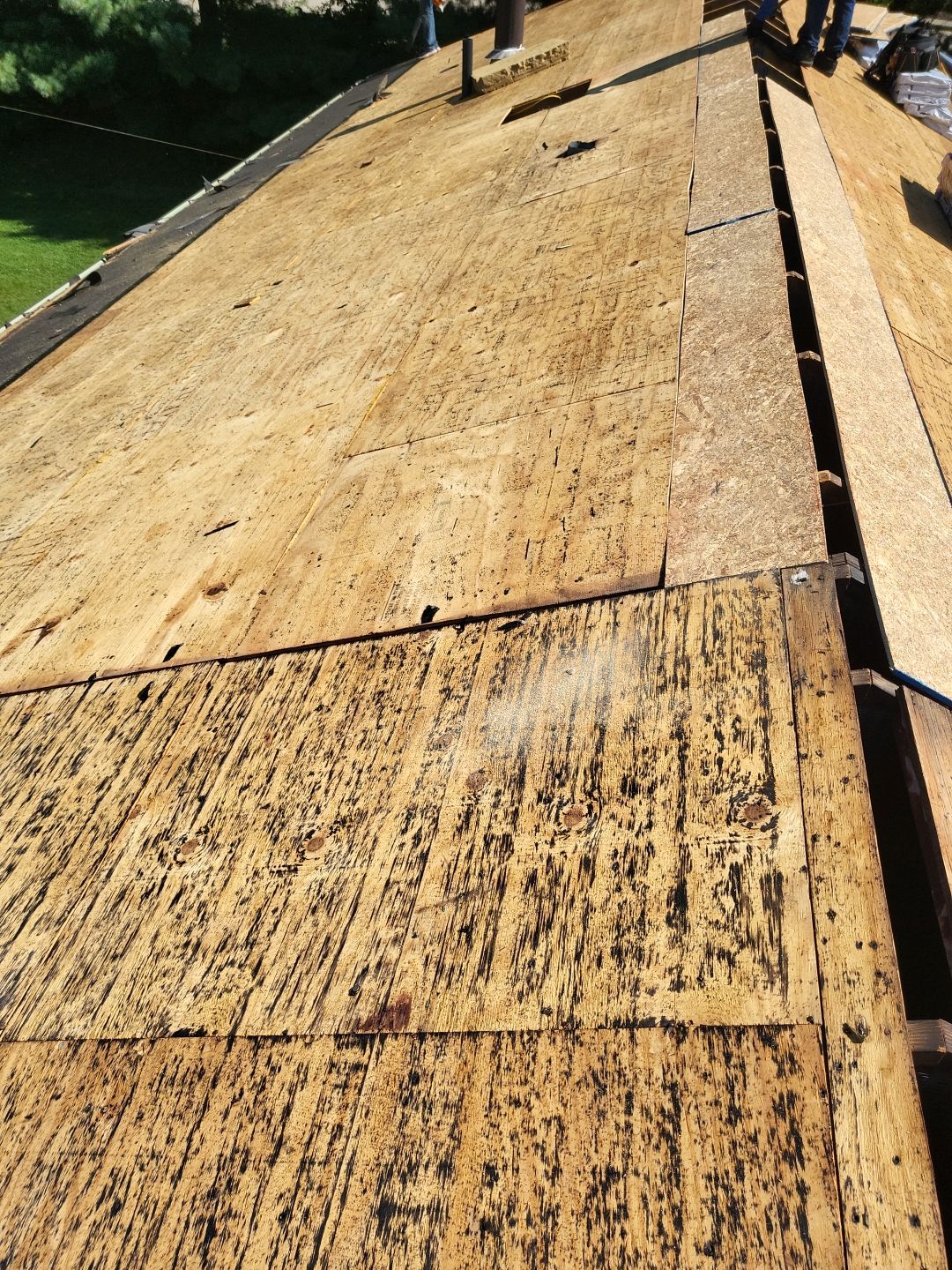 ATLAS PINNACLE COLOR: MORNING HARVEST by Eagle Eye Roofing