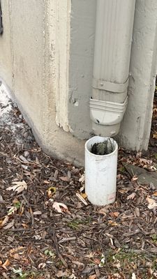 Turtle Shell gutter protection installation in Roselle, IL 60172, photograph 8