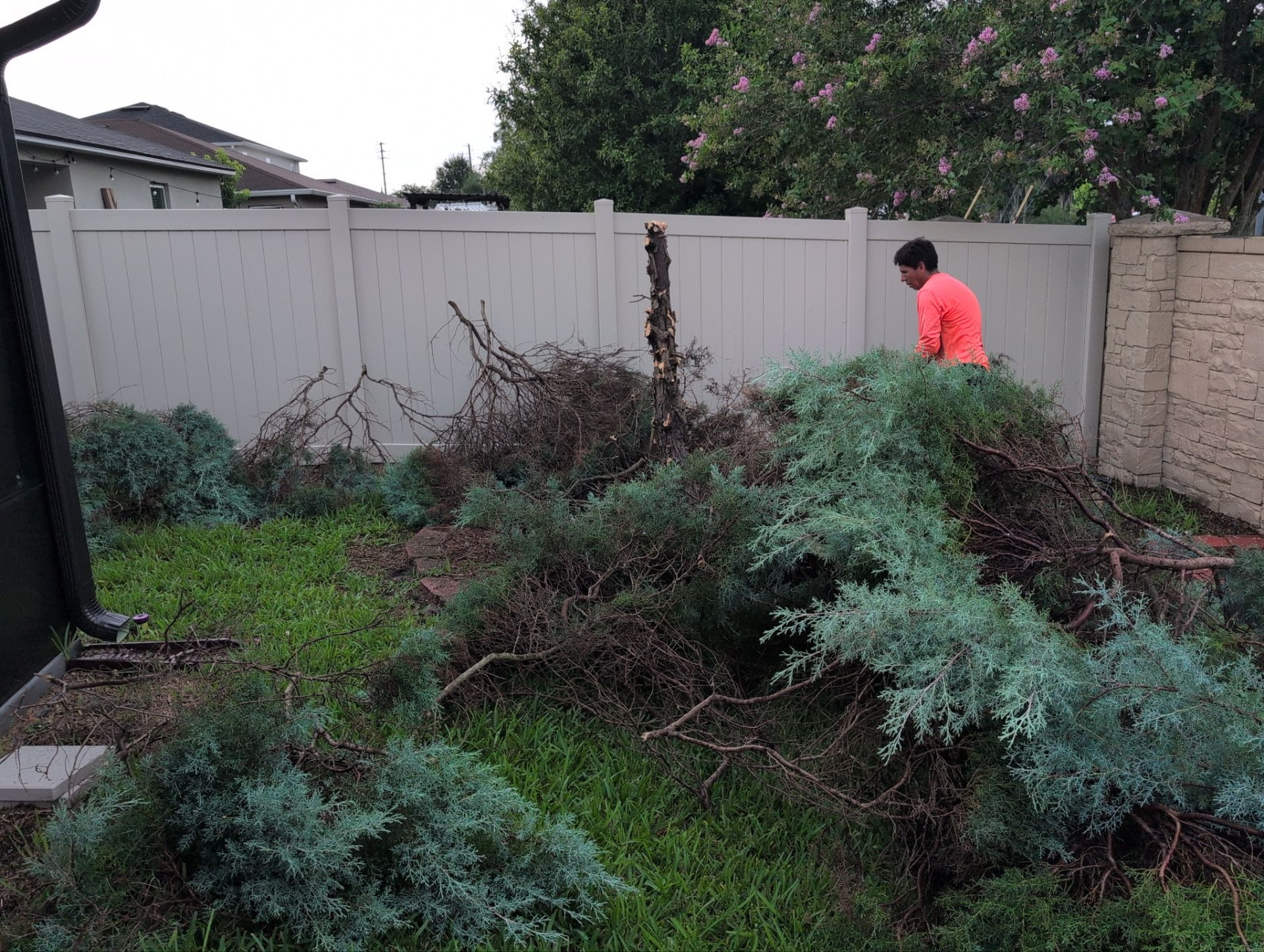 Tree Removal by 
M.A.B. Landscaping & Property Maintenance