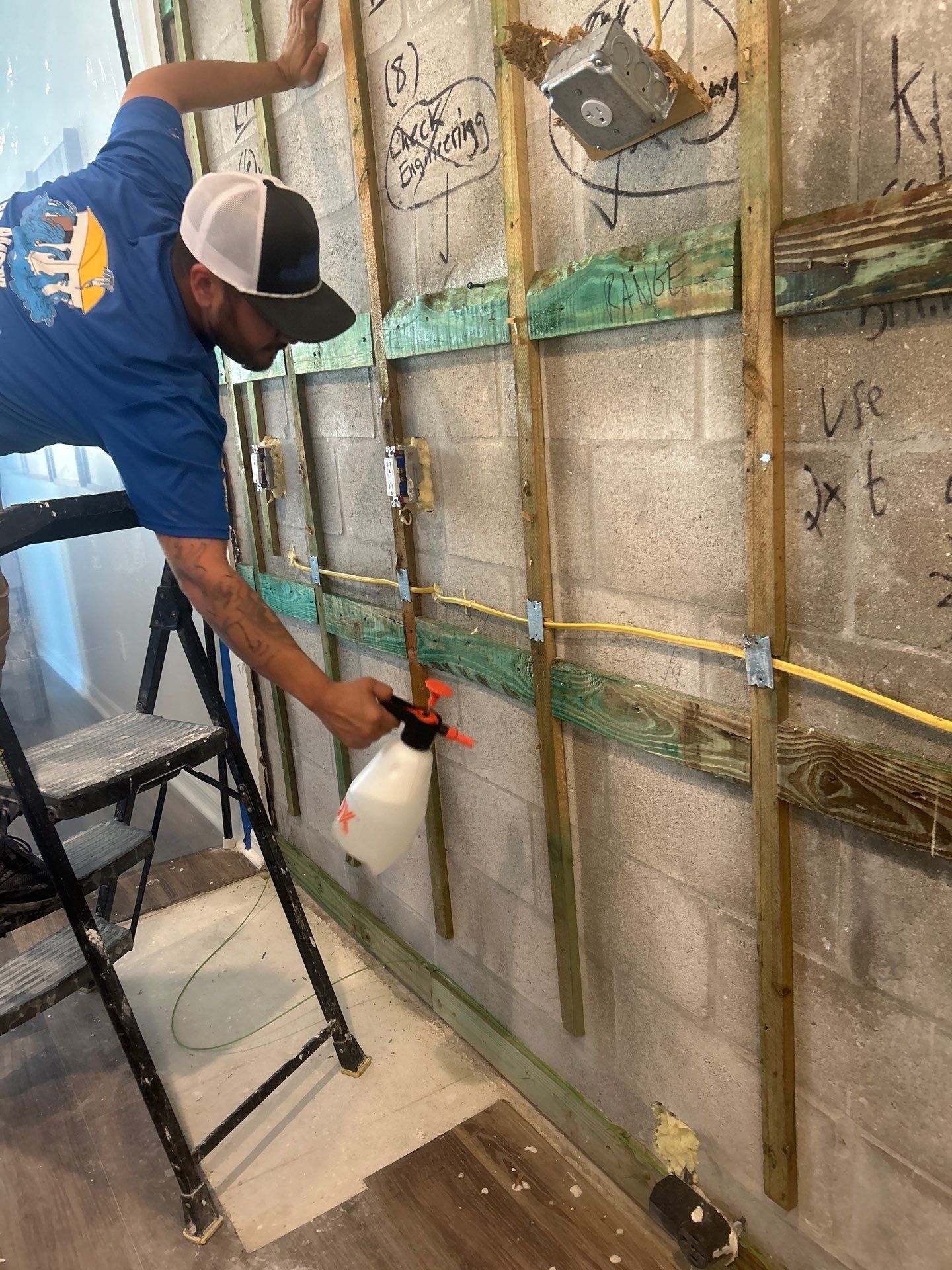 Palmetto Mold Removal & Repair by Ampm Restoration Services 