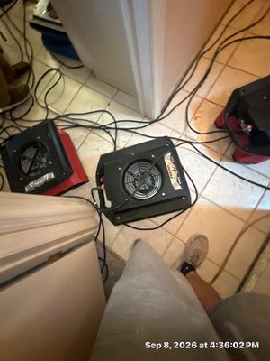 Mold Remediation — Marco Island, FL