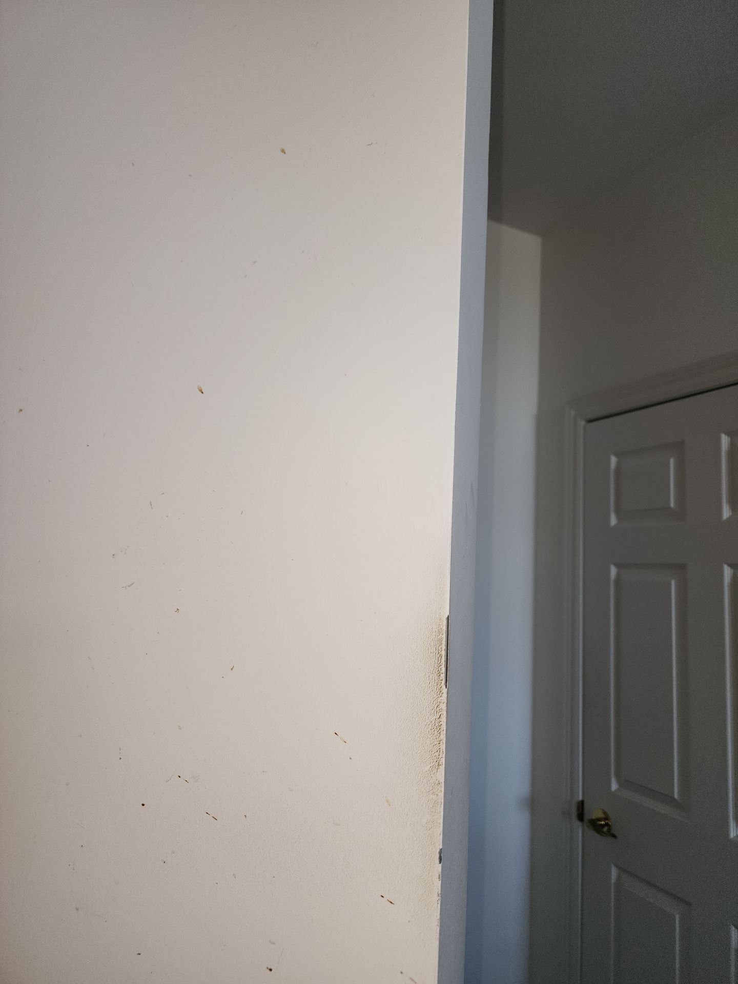 Project in Toronto by GTA HOME PAINTING