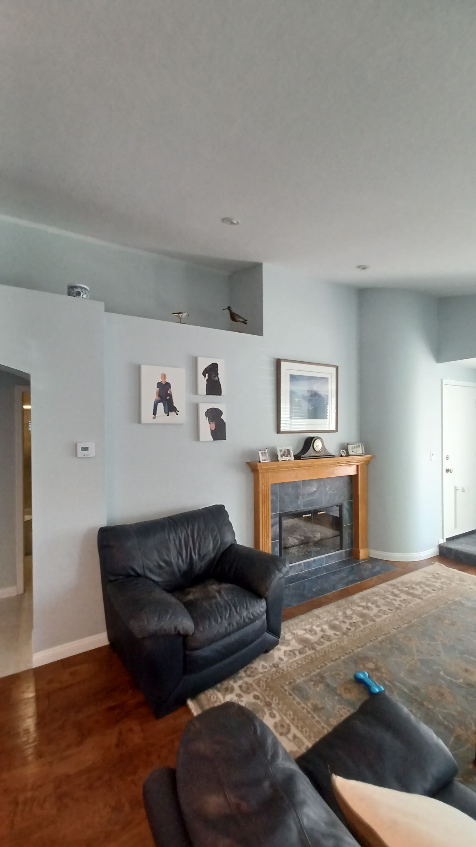 Freds Place by Asis Painting Inc