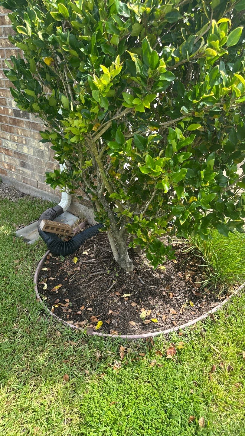 🌿 Mr. Ken’s Front Yard Flower Bed Enhancement by Texas Urban Elements