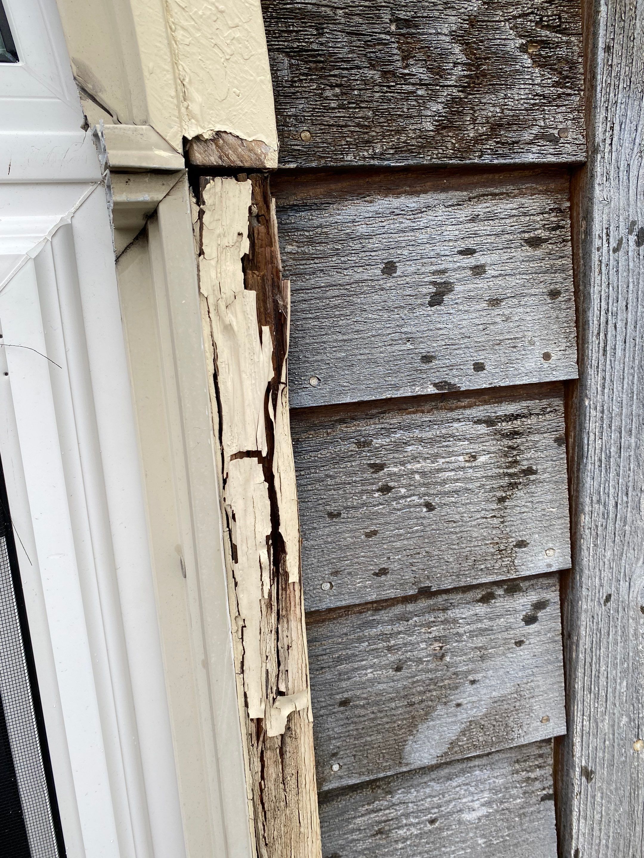 Window Replacement by Ivy Lea Construction