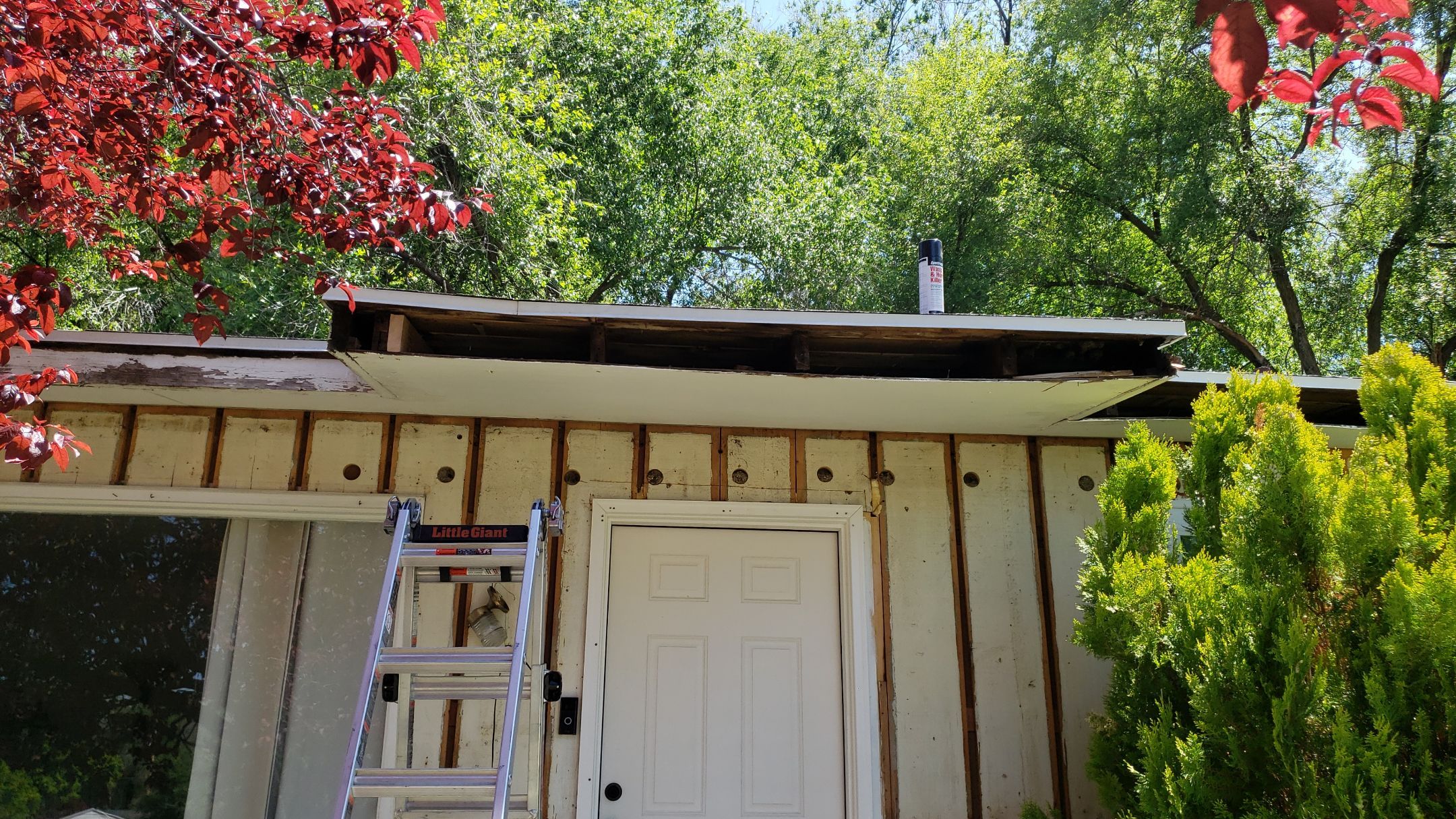 Project in Ogden by Emerald Gotcha Gutters 