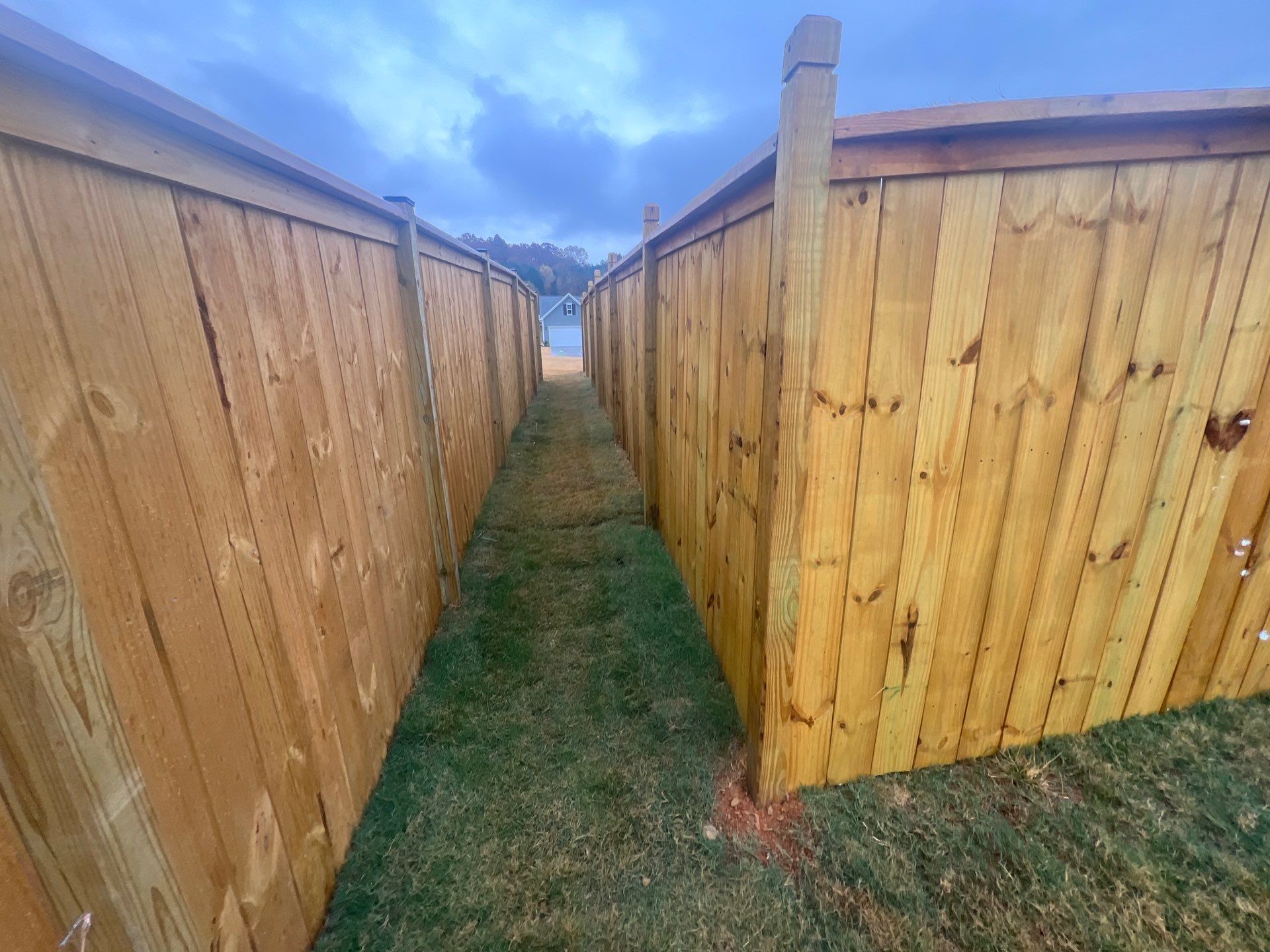 Fence Staining using Chestnut by SSE by Titans of Timber Fence & Stain