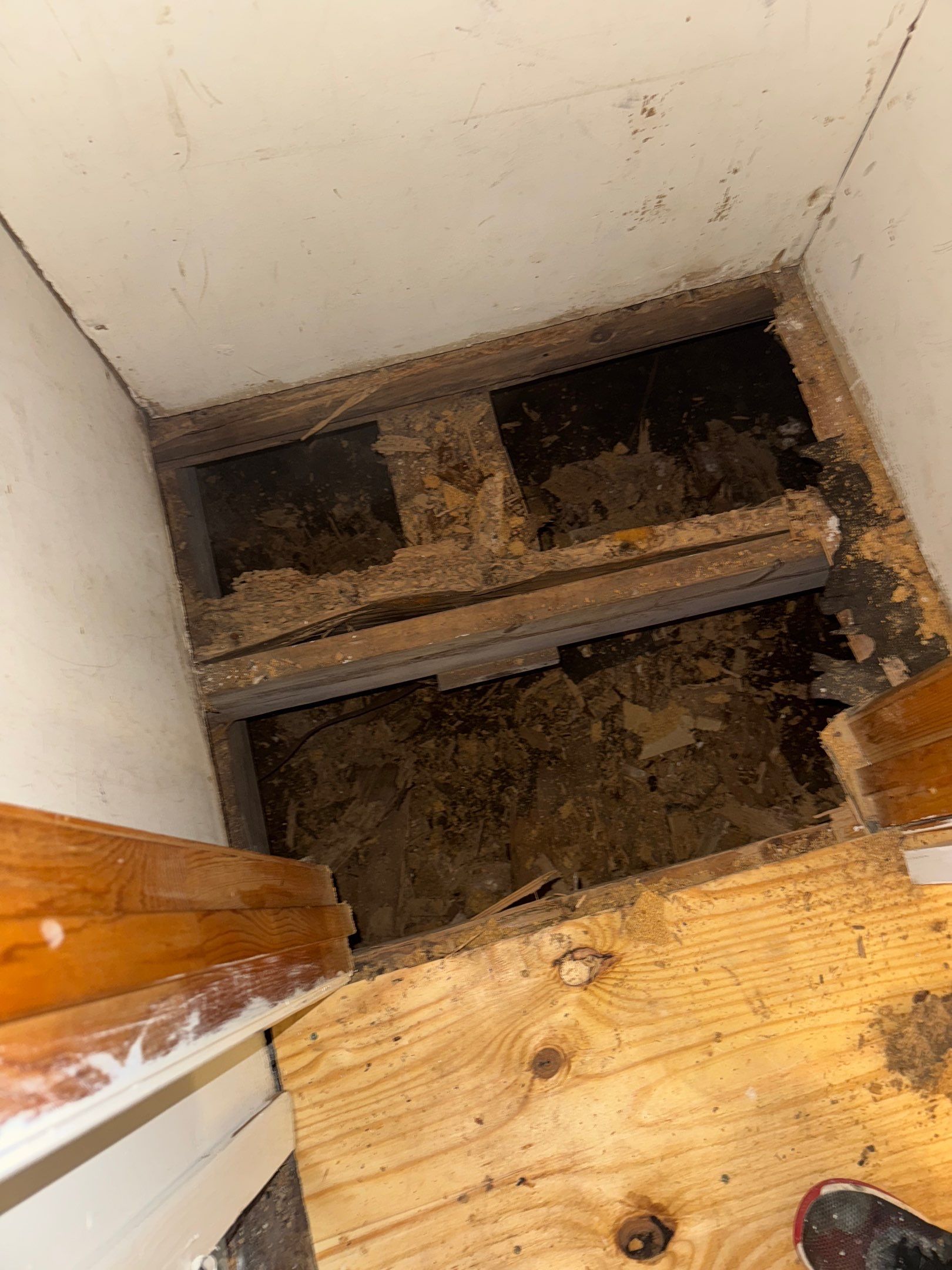 Subfloor Repairs & Flooring Installation by Axtra Hand