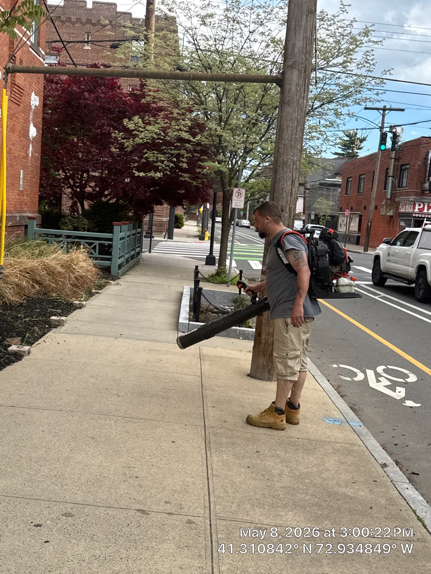 Commercial Property Cleanup and Landscape Maintenance in New Haven by Diamond Image LLC