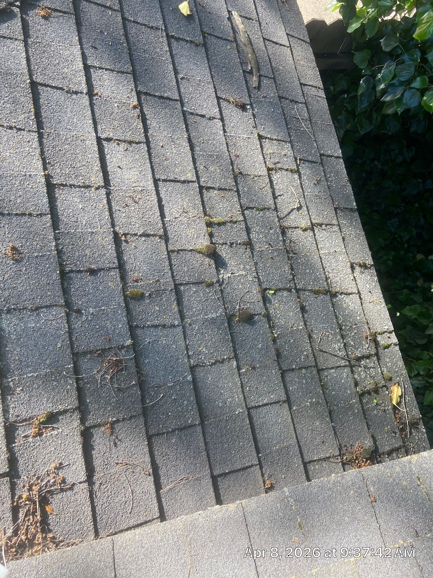 Roof Rejuvenation using Roof Maxx Treatment by Roof Maxx of Folsom