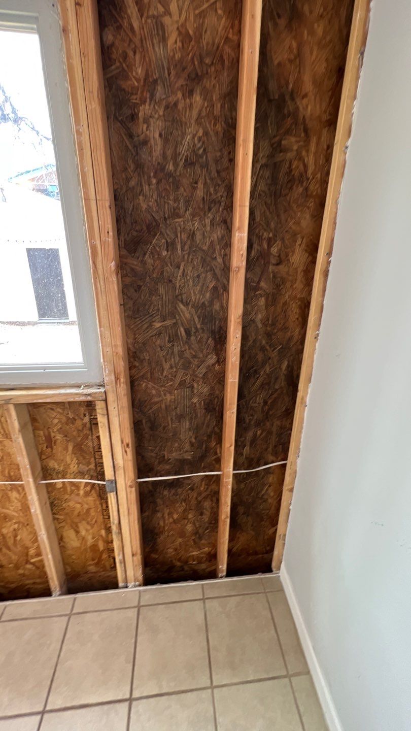 Mold Remediation  by Accountable Home Services