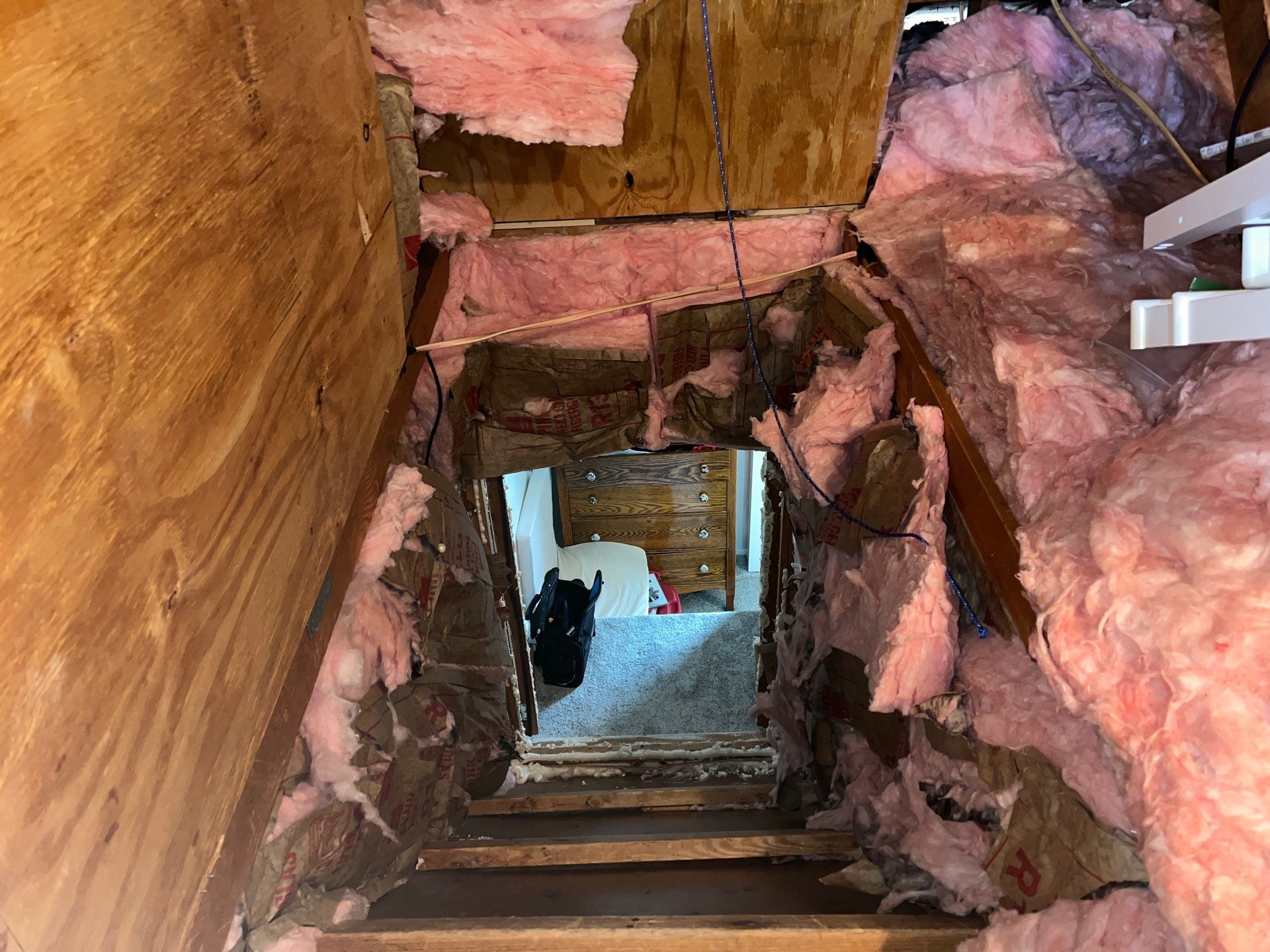 Eliminating Attic Mold and Ice Formation in Bethel Park, PA 15102 by Home Environment Solutions