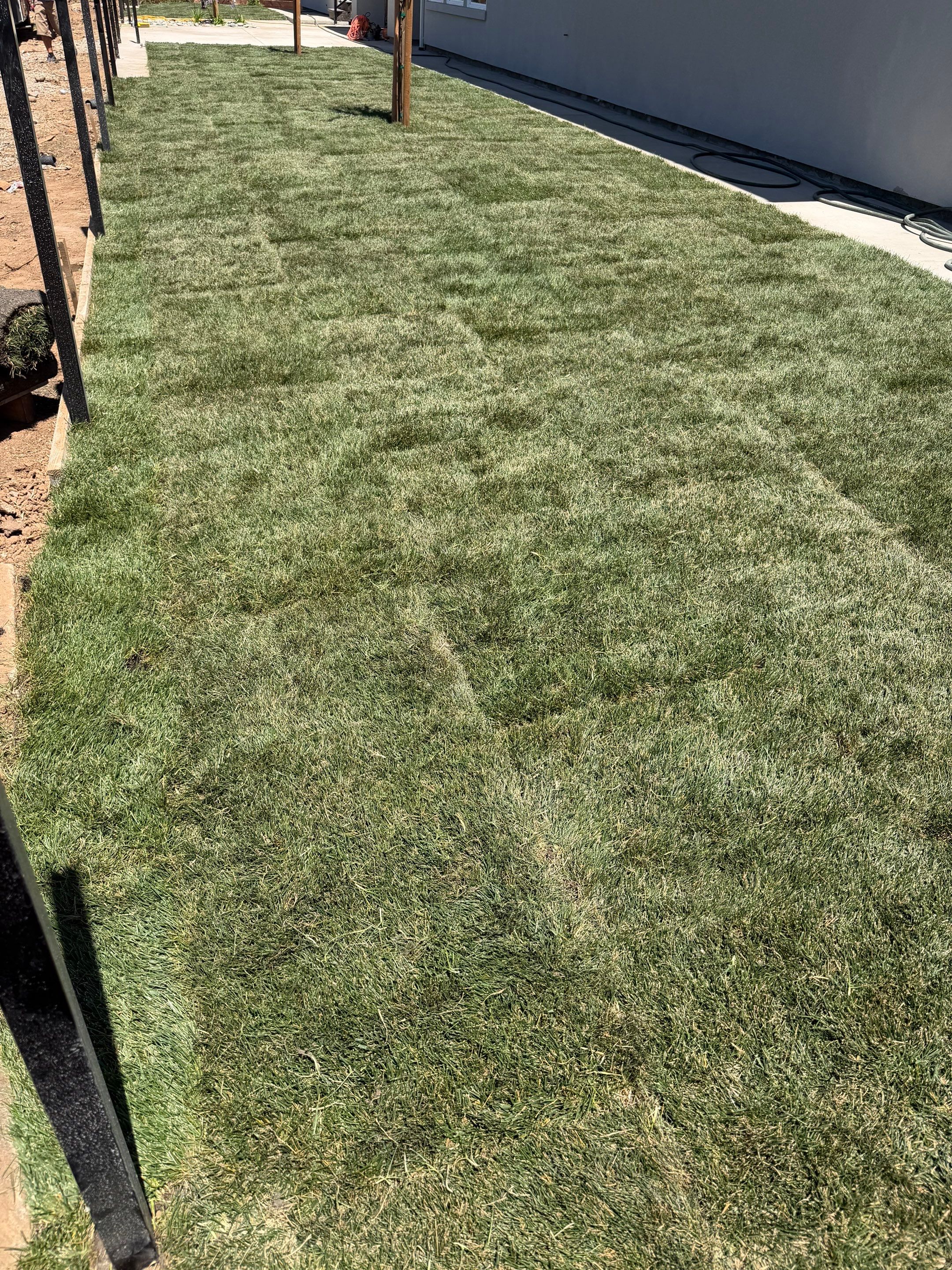 Project in Sacramento by A - G Sod Farms