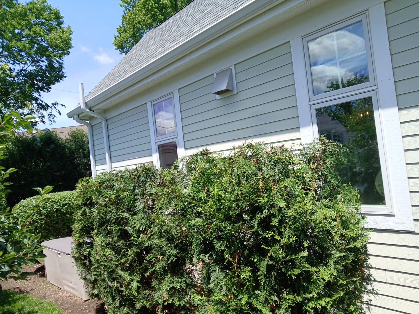 Lisa C. - Arlington Heights, IL by A&N