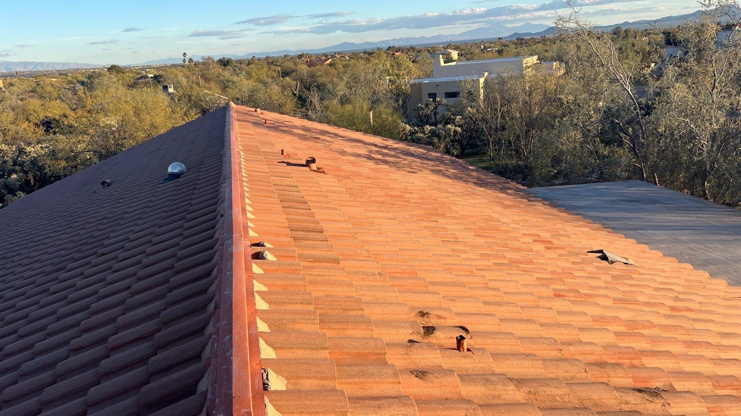 Galvanized Steel Exposed Fastener by Reimagine Roofing