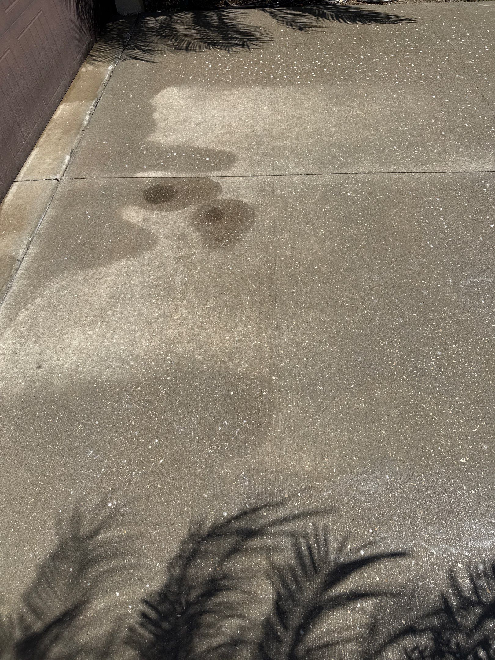 Concrete Driveway, Sidewalk, and Entryway Cleaning in Raven Crest, Bradenton, FL by Sunshine AquaWash