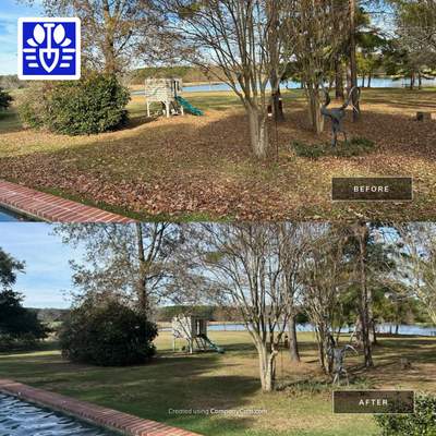 WINTER SERVICES: FULL LEAF JOB