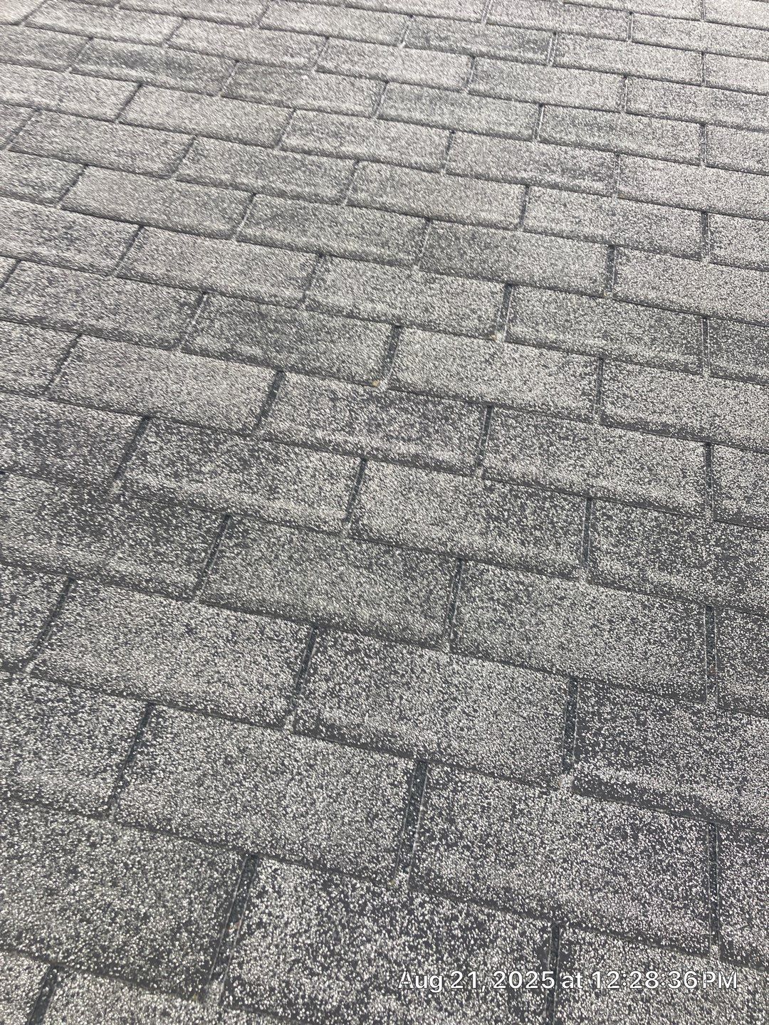 Shingle Roof Replacement by Absolute Roofing and Construction