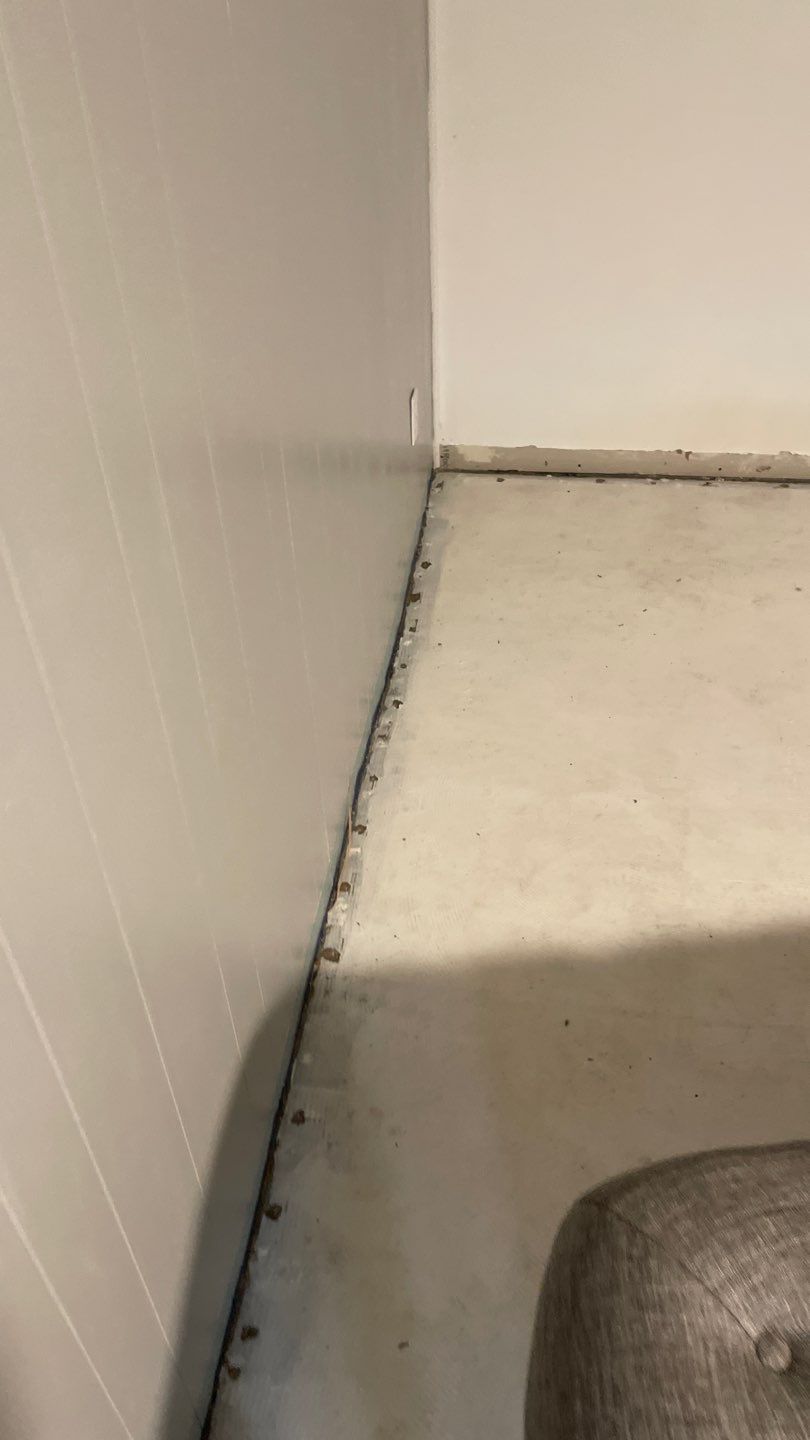 Water Damage  by Accountable Home Services