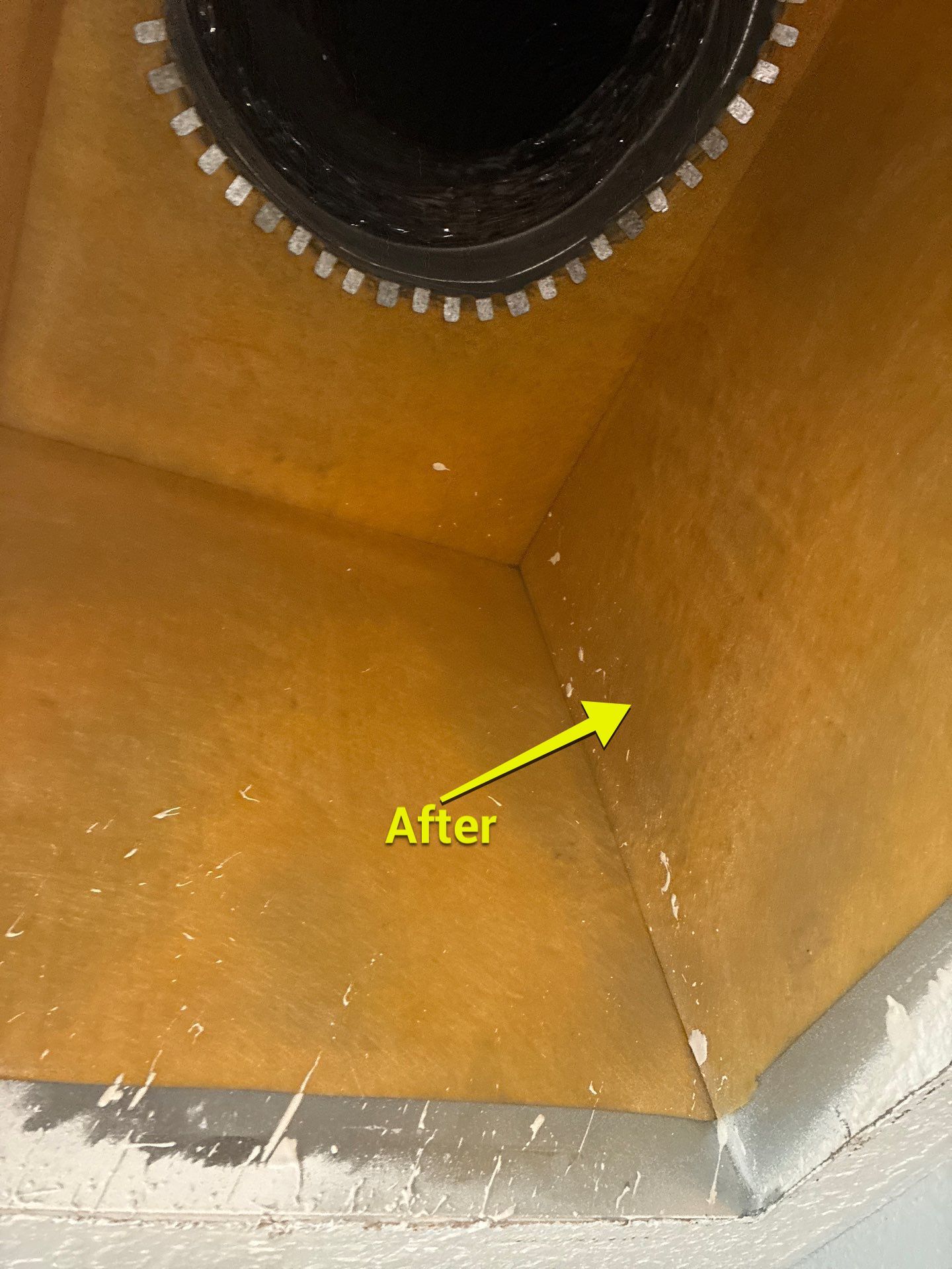 Air Duct Cleaning in Winter Garden by Hygienic Air, Inc