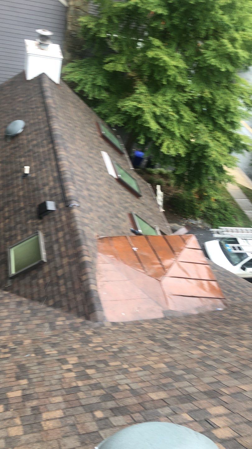 Arlington: CertainTeed Landmark Pro Designer Shingles in Max Def Shenandoah by RM Banning, Inc.