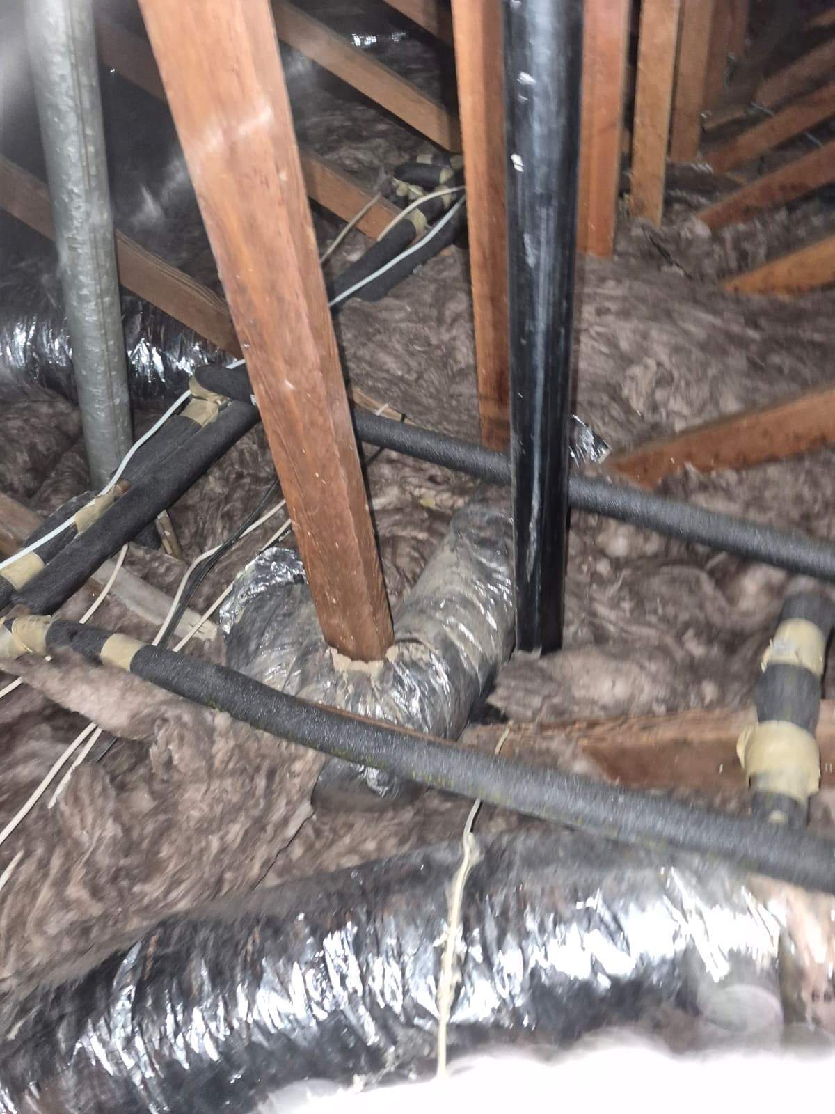 Project by Advanced Attic Solutions by Advanced Attic Solutions