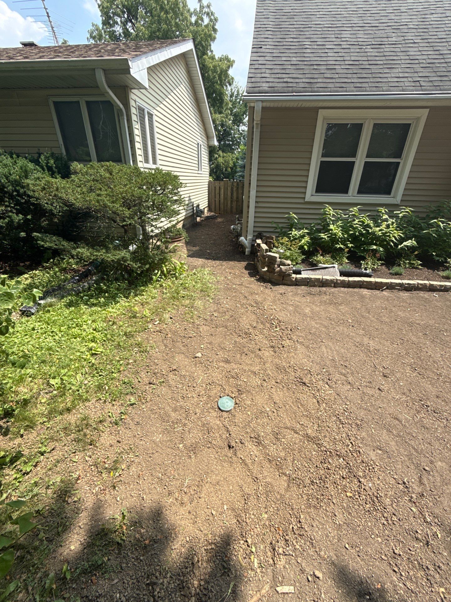 Allison C. - Arlington Heights, IL by A&N