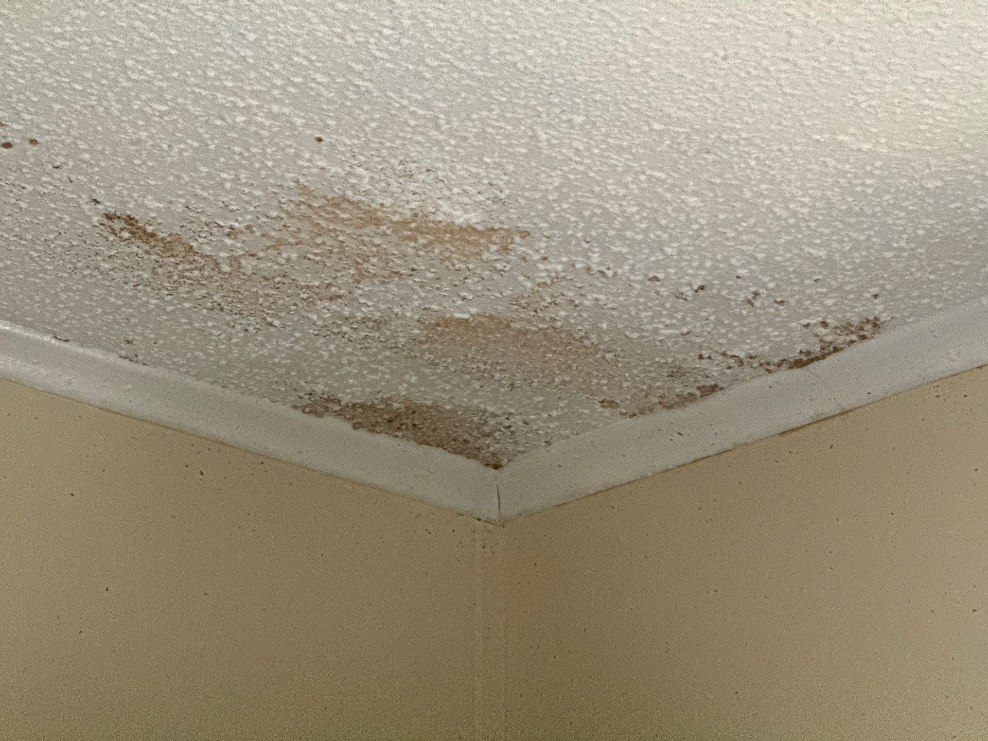 Water Damage Claim in Live Oak by FLAPA & KeyStone