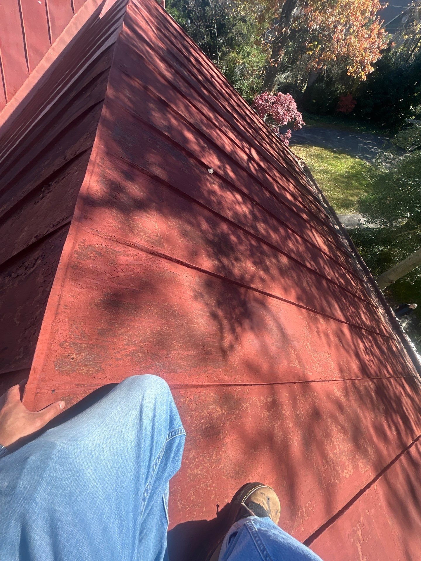 Alexandra: Residential Metal Roofing  by RM Banning, Inc.