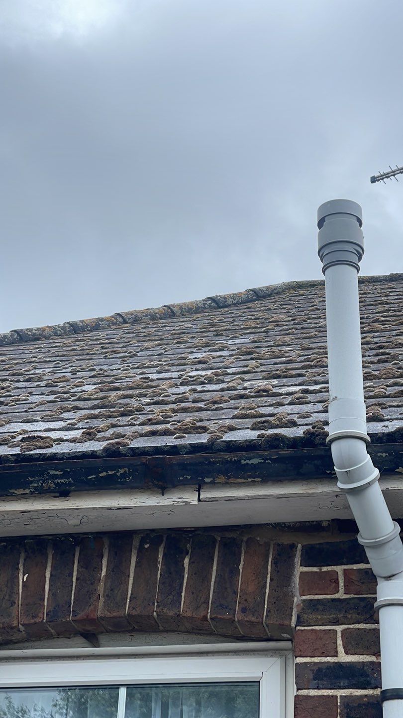 Roof Clean  - Moss Removal - Gutter Clean using Honda 15lpm Low Pressure Washing Machine by Ges Exterior Cleaning ltd
