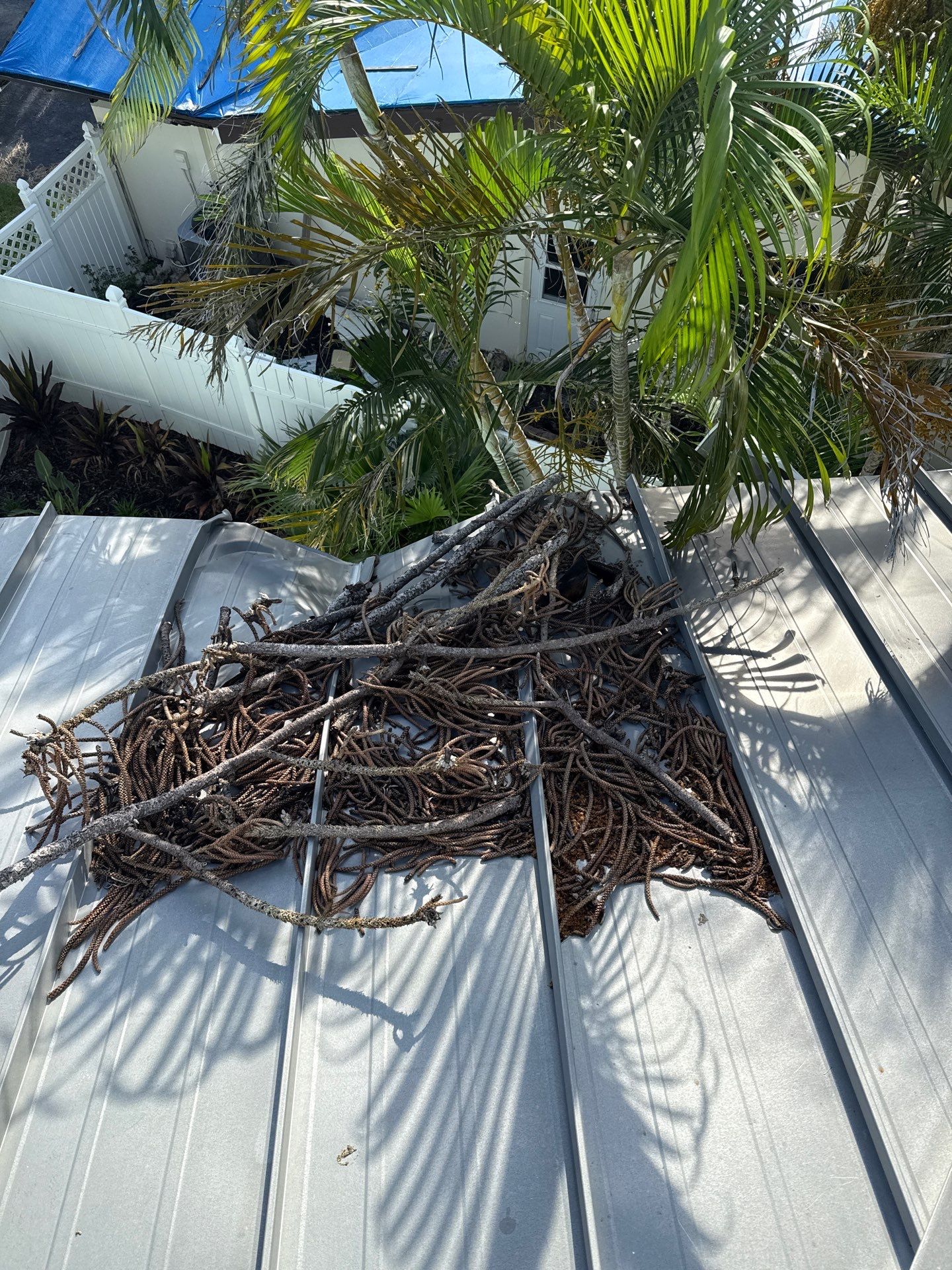 Project in Treasure Island 33706 by Mitchell Roofing Company LLC