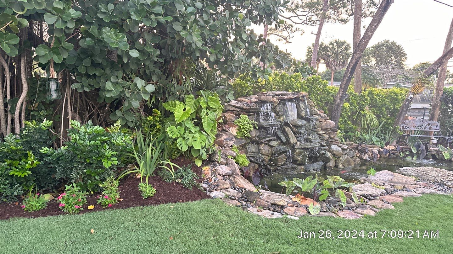 A Beautiful Relaxing Koi Pond with Waterfall in Pinecrest by Nature's Dream Landscape and Tree Service