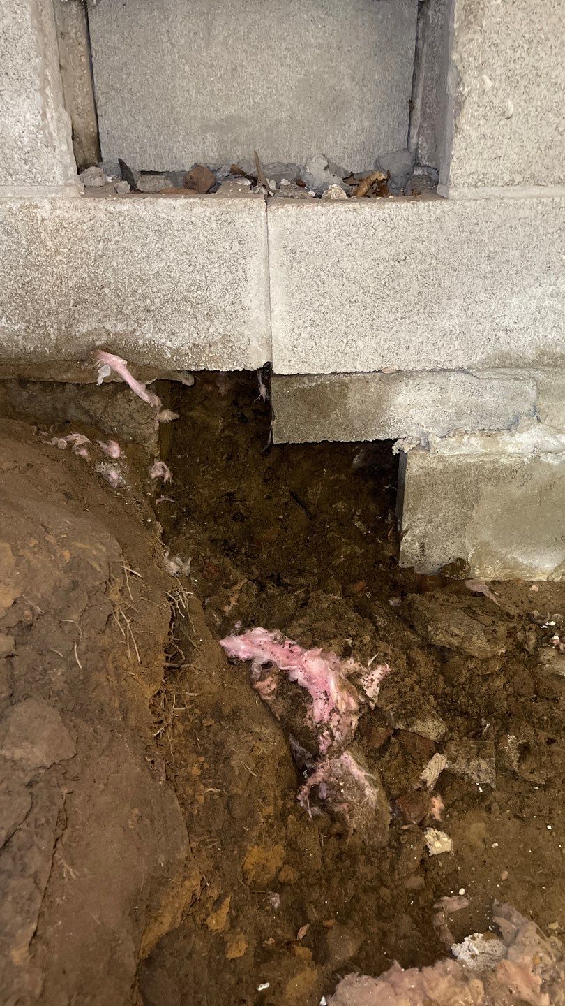 Crawl Space Work and Encapsulation by Toledo Basement Repair