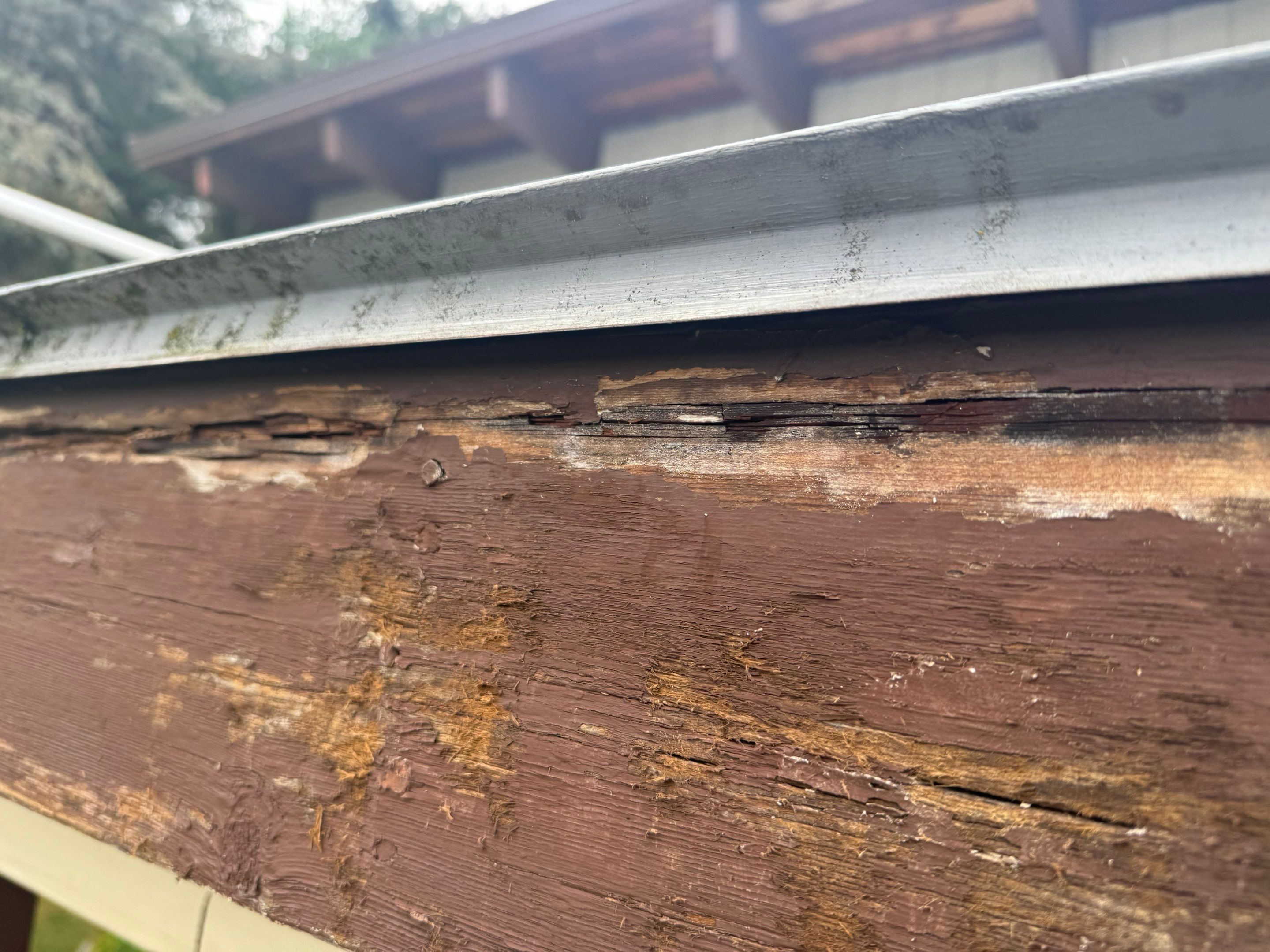 Exterior Window Trim Painting In North Vancouver  by YVR Construction Group