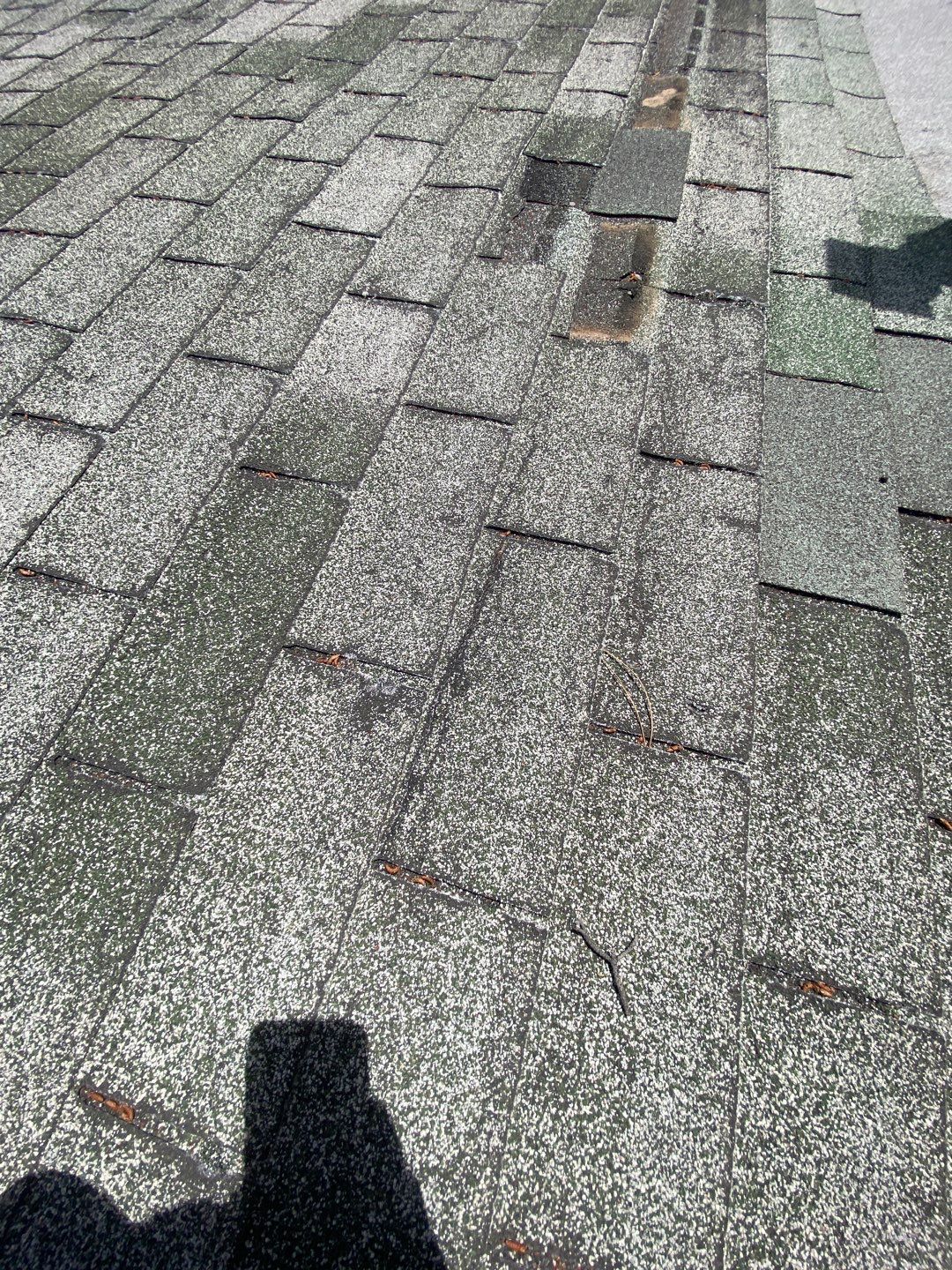 Elizabeth's Full Re-roof by All Storm Roofing & Construction