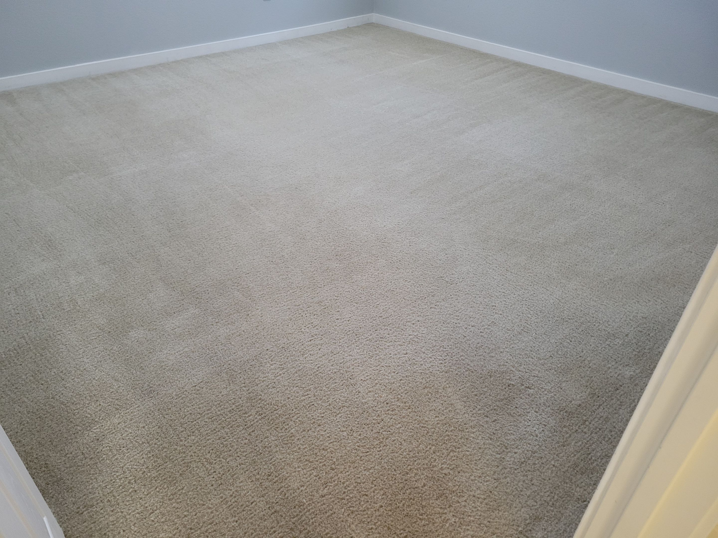 Carpet Cleaning & Stain Removal by Ardent Carpet Restore LLC